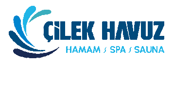 Çilek Havuz Sticker