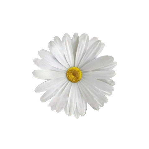 Alex Sanchez Sticker