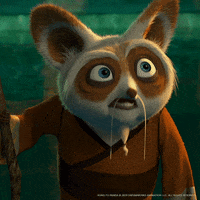 Kung Fu Wow GIF by DreamWorks Animation