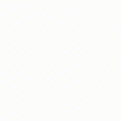 biautogroup GIF