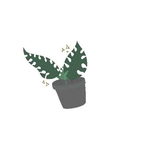 Plant Grow Sticker