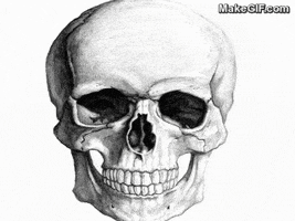  death skull morbid serial killer jeffrey dahmer GIF