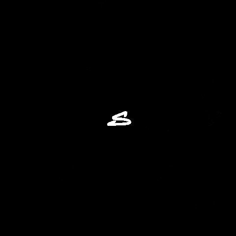 SiNZ GIF