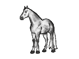 Horse Sticker