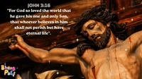 JOHN  3:16