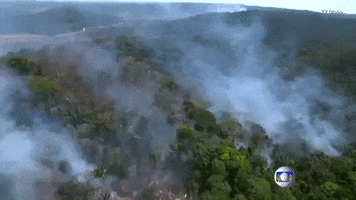 fire brazil deforestation amazon rainforest brazil forest fire GIF
