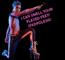PXD Pole Studio GIF
