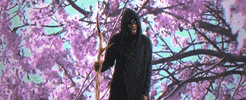 Cherry Blossoms Staff GIF by Terrell Hines