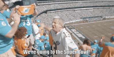 Super Bowl GIF by Dolfans NYC
