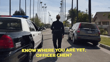 Police GIF