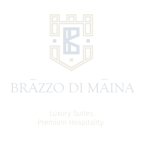 brazzodimaina GIF
