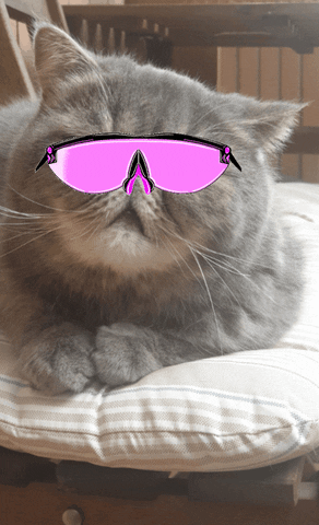 Giada Longo GIF