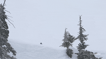 Wipe Out Lol GIF by Outside TV