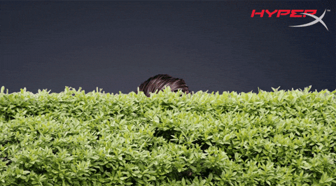 Hedge GIFs - Find & Share on GIPHY - 480 x 267 animatedgif 1763kB