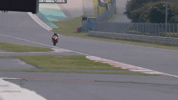 Indian Rider GIF by AR