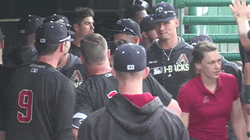 Look Gocougs GIF by Kane County Cougars
