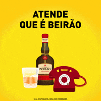 Whatsapplb GIF by Licor Beirão