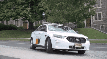 Princeton sunglasses police stranger things safety GIF