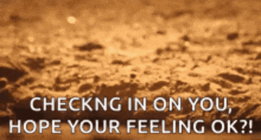 just checking on you gif
