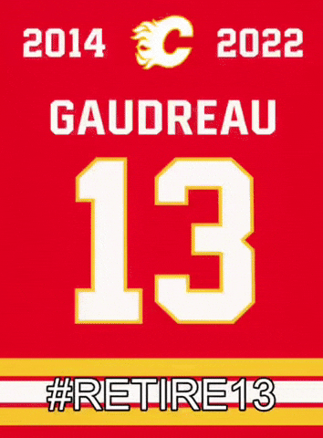 Calgary Flames Usa GIF