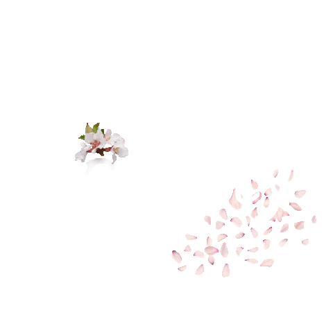 Beauty Цветы Sticker by NITE SILK