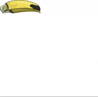 Paradise Events GIF