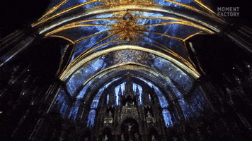Notre Dame Montreal GIF by Moment Factory