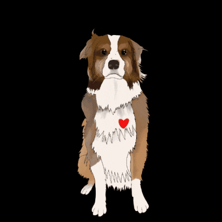 Dog Love GIF