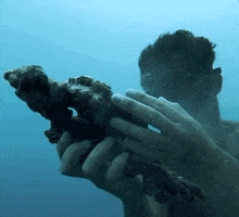 Coral Gardeners GIF
