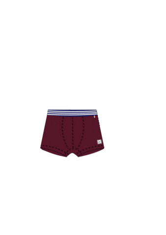 Boxer Sticker