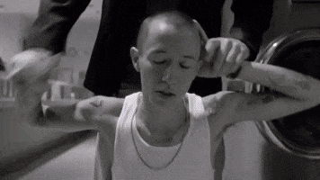 200.gif?cid=fc005b0843f0c93aed426cec22392bcb4038088c927b8de5&rid=200.gif&ct=g