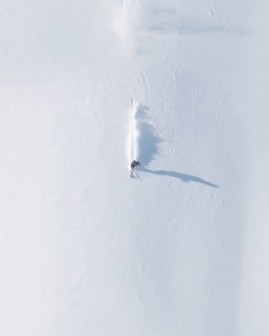 Loop GIF