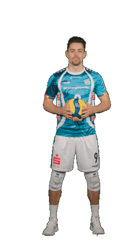 Deutschland Sticker by Volleyball Bundesliga