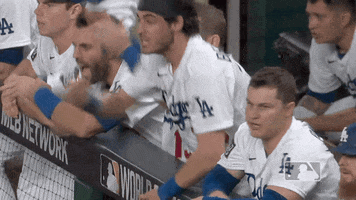 Yelling Major League Baseball GIF by MLB