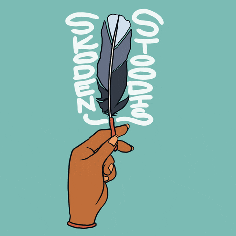 Indigenous People Thanksgiving GIF by INTO ACTION