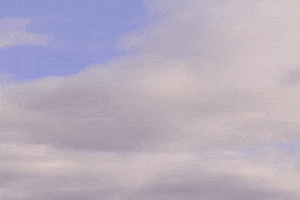 washington seattle GIF
