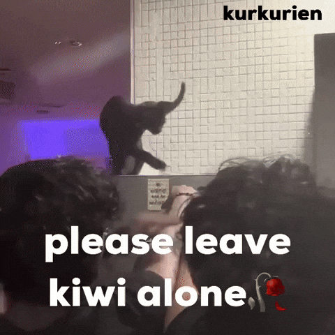 Kiwi Outstation GIF