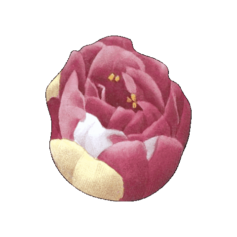 Pink Flower Sticker by elicoelhoshop