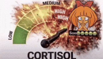 Ongezellig Cortisol GIF