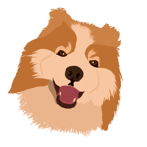 Cats Dogs Sticker by Mo4Paws