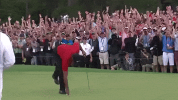 Tiger Woods GIFs - Find & Share on GIPHY