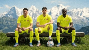 Borussia Dortmund Football GIF by Herr Fuchs Zurich