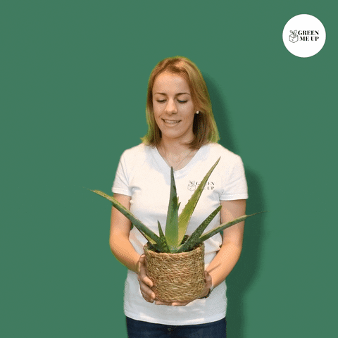 GreenMeUp GIF - Find & Share on GIPHY