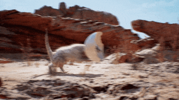 Crash Meerkat GIF by Unreal Engine