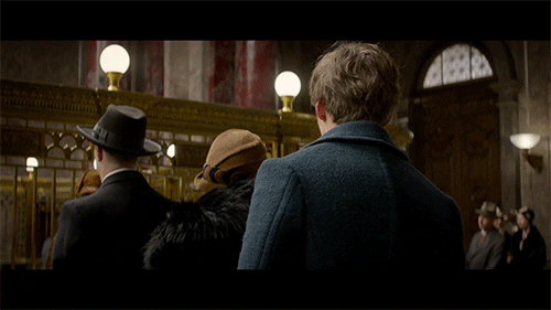 Harry Potter GIF by mtv - Find & Share on GIPHY