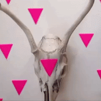 200.gif?cid=fc005b087c9a416f4835808f3d43e00bf633a8118e53b269&rid=200.gif&ct=g