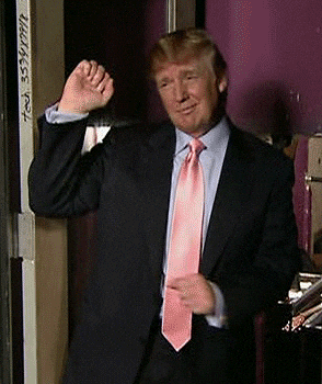 💫令和のGifコレクション～美しい地球～ : トランプさん