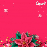 Xmas-navidad-noche-buena-merry-marco-aramburo GIFs - Get the best GIF on GIPHY Xmas-navidad-noche-buena-merry-marco-aramburo GIFs - Get the best GIF on GIPHY