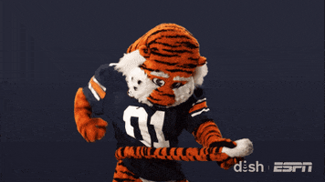 Celebrate College Football GIF by DISH