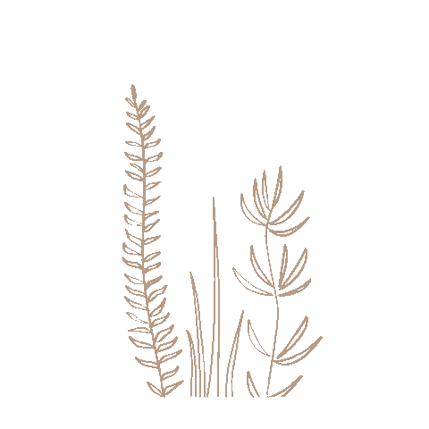 Flower Plant Sticker by Bee original